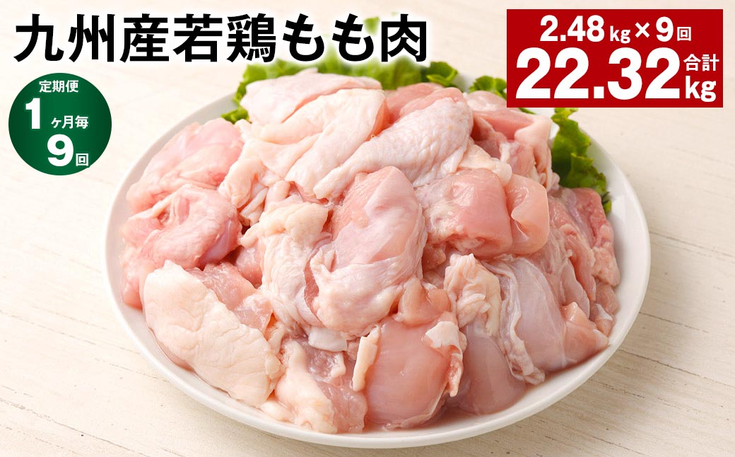 
【1ヶ月毎9回定期便】 九州産若鶏もも肉 計約22.32kg（約2.48kg✕9回） 鶏肉 もも肉 お肉
