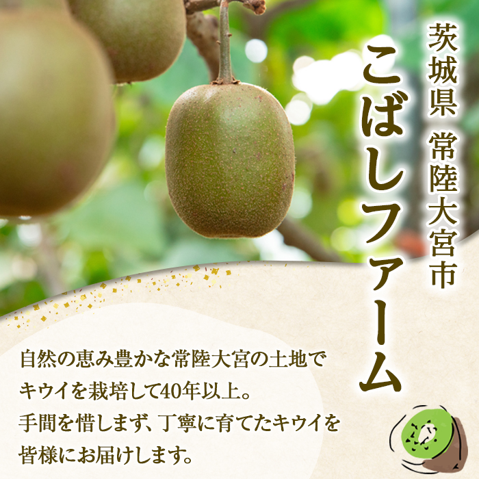 ＜先行予約受付中！2026年10月以降順次発送予定＞【訳あり】茨城県産 黄色いキウイ 4.5kg 訳あり 訳アリ キウイ キウイフルーツ 果物 フルーツ 青果物 【こばしファーム】【ho1550】