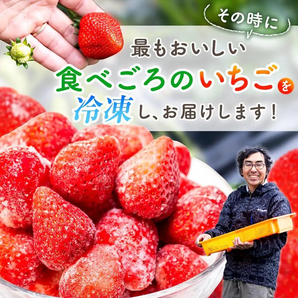 AK00-003 冷凍いちご 2袋セット