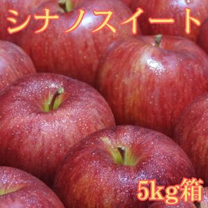 シナノスイート 5kg箱 ＜10月中旬より発送＞