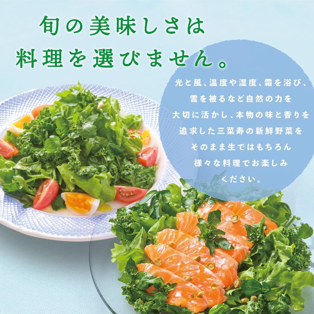 【定期便６回】旬の新鮮野菜セット　Lサイズ（5種類以上/10～12パック）