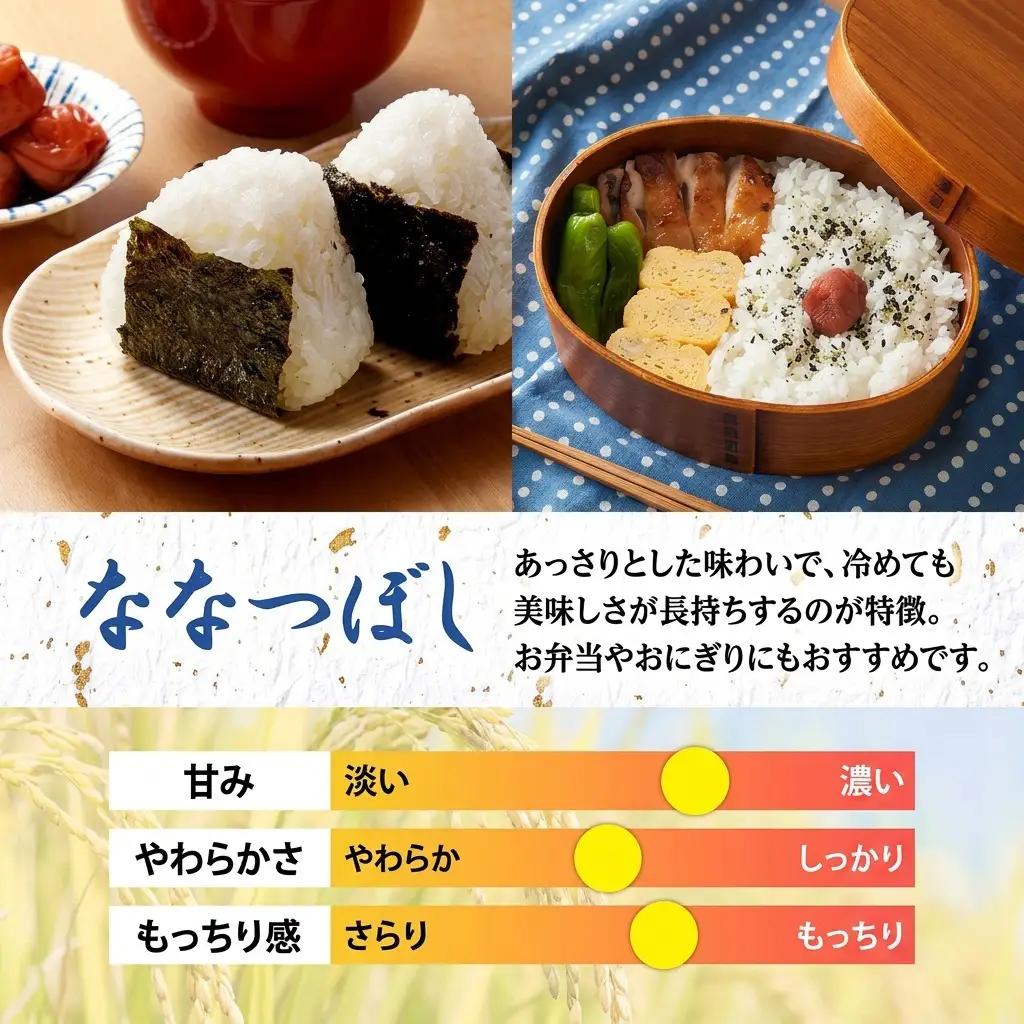 ななつぼし 北海道産 特A 精米【5kg×1袋】【4ヶ月定期便】【R8先行予約】