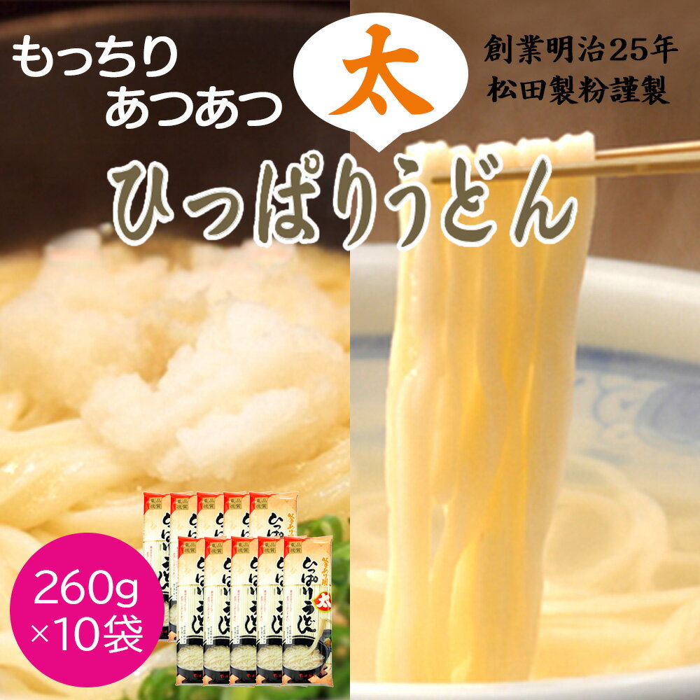 【ふるさと納税】ひっぱり太うどん　260g　10袋入【41155】