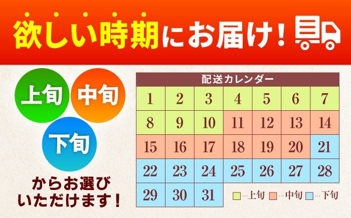  令和7年産 さがびより 10kg 5kg×2袋 米 おこめ お米 白米 10キロ 選べる 発送月 R7 10kg 小分け