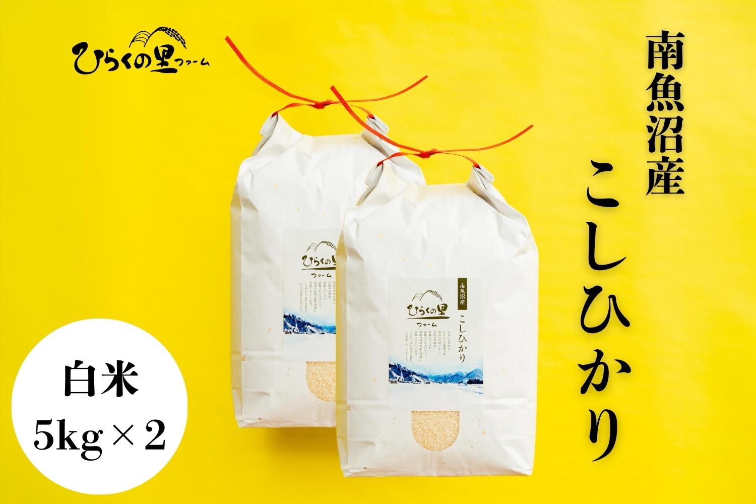 【R7年産】最高金賞 南魚沼産コシヒカリ 白米5kg×2 もっちり甘い！ ひらくの里ファーム【2025年11月上旬より順次発送予定】