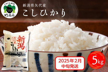 【2025年2月中旬発送】新潟県矢代産コシヒカリ5kg※沖縄県・離島配送不可