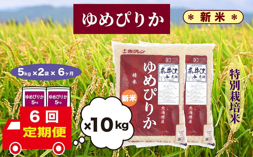 【定期便6回】北海道奈井江町　特別栽培米　ゆめぴりか　10kg