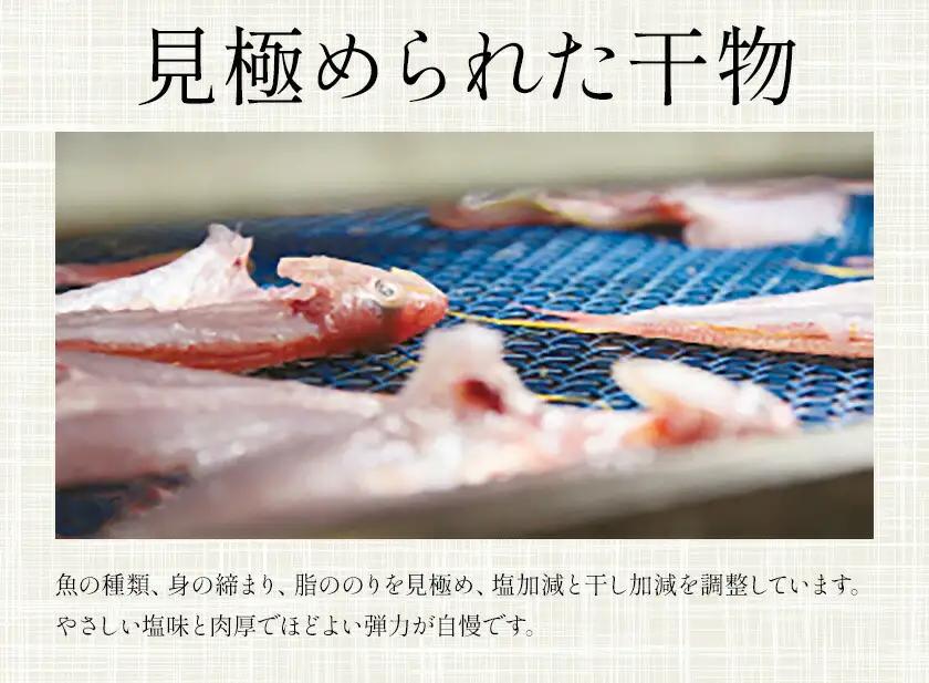 はまみや海産 美波 の 特選 干物セット 大セット 干物