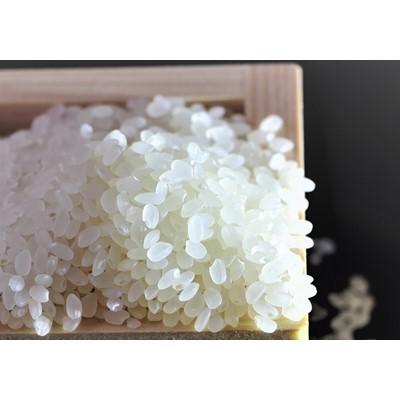 ふるさと納税 売木村 【令和7年産】うるぎ米 10kg |  | 02