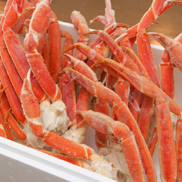 260008 訳ありボイルずわいがに(カナダ産/ロシア産)足(欠損含