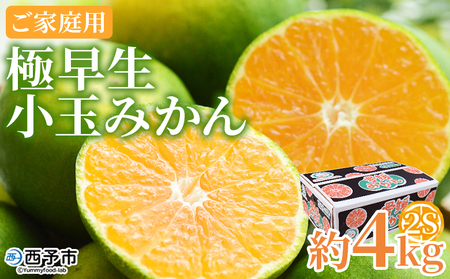 ＜極早生小玉みかん ご家庭用 約4kg＞ ご家庭用 果物 フルーツ みかん ミカン 蜜柑 オレンジ 柑橘 食べて応援 特産品 宇都宮物産 愛媛県 西予市 【常温】『2025年9月下旬～10月中旬迄に順次出荷予定』UUB0046