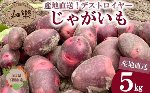 じゃがいも 5kg デストロイヤー 【2026年6月上旬以降順次発送】 旬のお野菜お届け 産地直送 野菜 農家直送 季節限定 芋 いも 露地野菜 やさい サラダ コロッケ ジャーマンポテト じゃがバター ポテトサラダ 有機 季節の野菜 ～食と子供と未来のために～～食卓に笑顔と彩りを～ 農薬 化学肥料 不使用 下関 山口