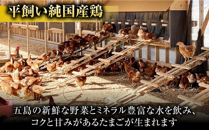 【6回定期便】【お得な箱入り】平飼たまご ファイブエッグ M〜Lサイズ 30個 / 5EGG 卵 赤玉子 五島市 / 五島列島大石養鶏場 [PFQ040]