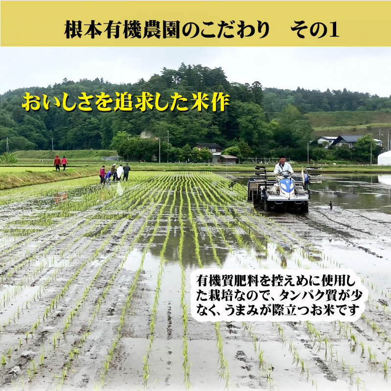 【令和6年産】南相馬・根本有機農園のJAS有機米天のつぶ5kg（白米）