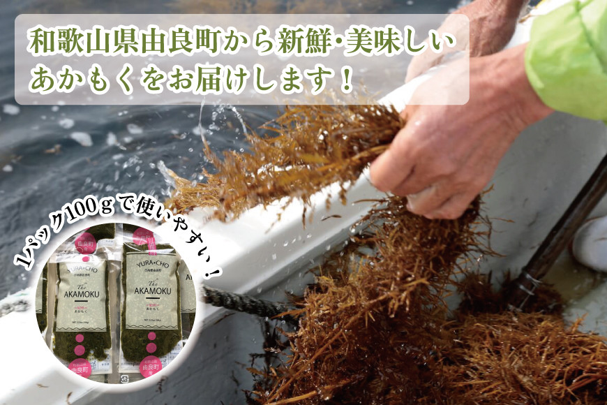 紀州あかもく［由良町産］100g×7パック（2025年産）【SL11】