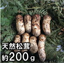 【ふるさと納税】 松茸 訳あり 岩手県産 天然松茸 約200g 数量限定 小さめ コロ 期間限定