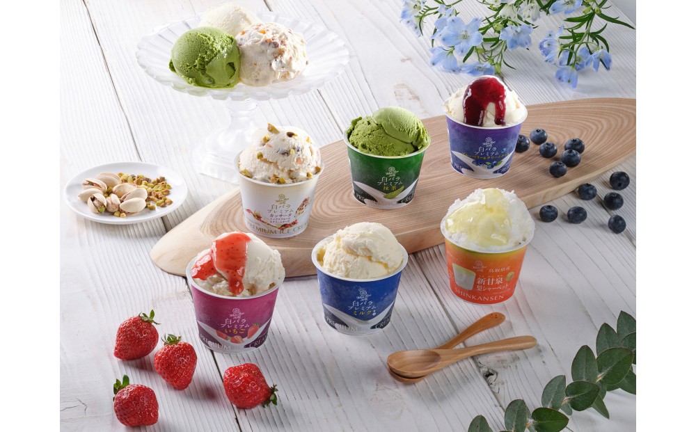 
            収穫祭10個入（アイスクリームとシャーベットの6種詰め合わせ）
          