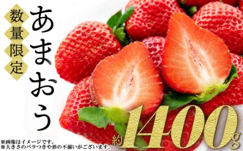 2S1　福岡県産「あまおう」1400ｇ（280ｇ×5ｐ）【数量限定】