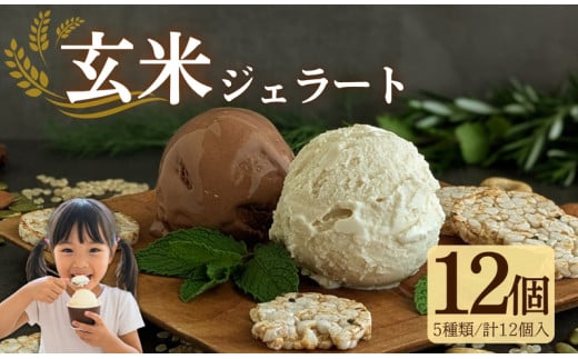 【ヴィーガン】 玄米ジェラート12個 アイス 宇治茶 抹茶 ほうじ茶 いちご クランベリー  菓子 グルテンフリー スイーツ ビーガン ヴィーガン ココナッツミルク 苺 玄米 健康 おやつ 京都 デザート 夏【175】