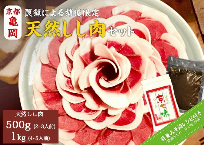 【ふるさと納税】【先行予約 数量限定】丹波亀岡 天然しし肉セット 特選 500g 1kg（京丹味噌・京七味付き）ぼたん鍋 猪 ジビエ 猪肉 ※2025年11月中旬～2026年4月中旬頃に順次発送予定