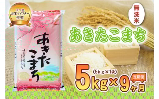 【9か月定期便】盛岡市産あきたこまち【無洗米】5kg×9か月