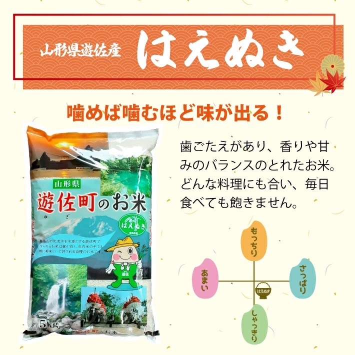 【定期便】遊佐産はえぬき5kg×6ヶ月連続（11月～4月）