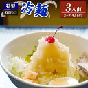 【ふるさと納税】 特製冷麺（ 3食分 ） 特製牛骨スープ キムチ 付 冷麺 3人前 冷麺