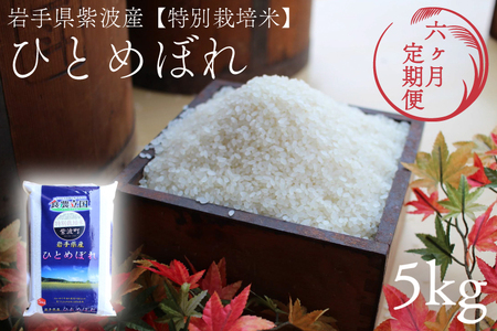 【定期便 6ヶ月】令和7年産 特別栽培米 ひとめぼれ 精米 5kg 白米 定期便 AD048