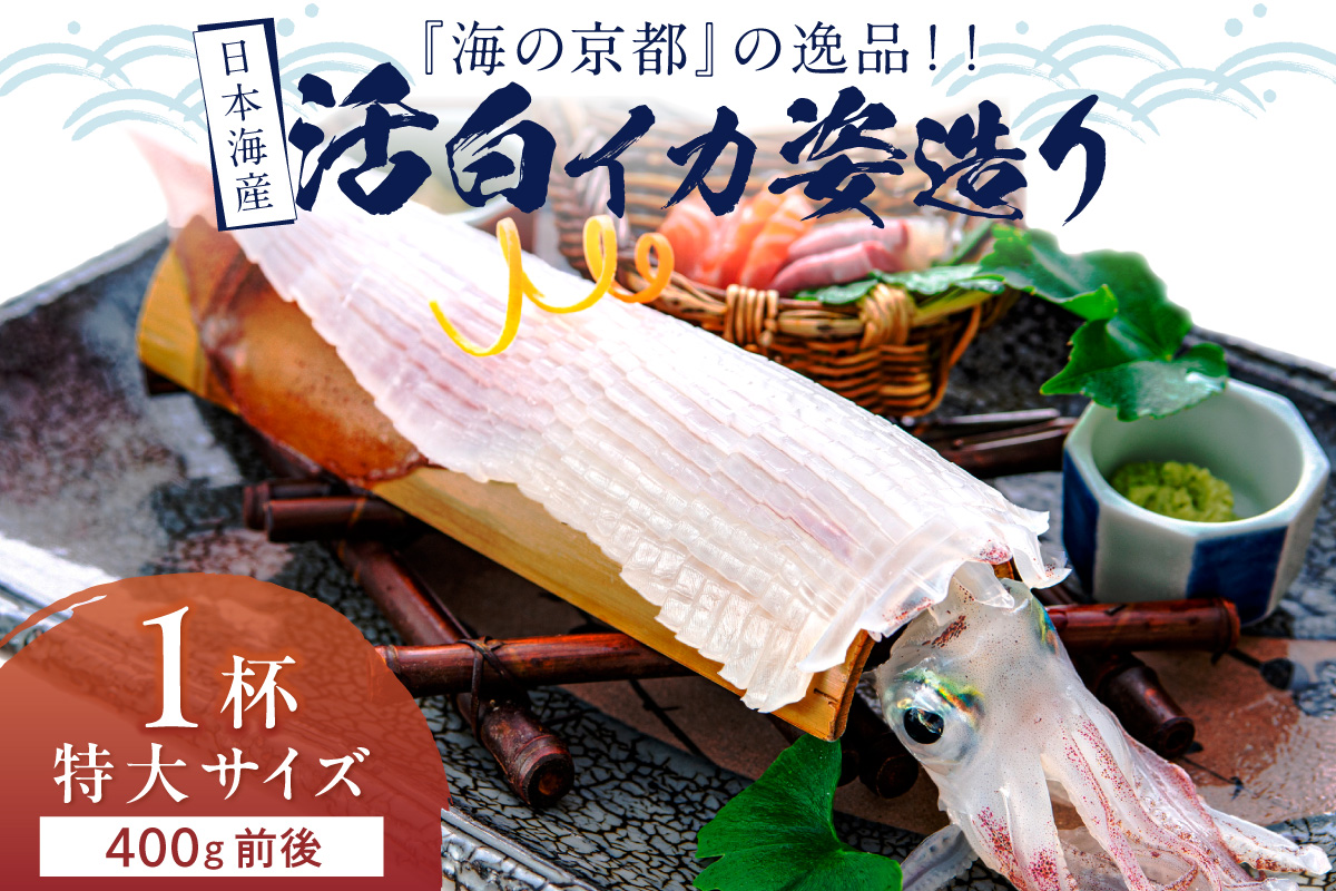 日本海産『海の京都』の逸品！！　活白イカ姿造り（クリスタル白いか）特大サイズ 1杯（400g前後）（2027年6月上旬～発送） ふるさと納税 海鮮 鮮度抜群 新鮮 海鮮 いか イカ 簡単調理 生産者応援 送料無料 生食 魚介類 活イカ 日本海産 刺身 BBQ 美味 逸品　YK00695
