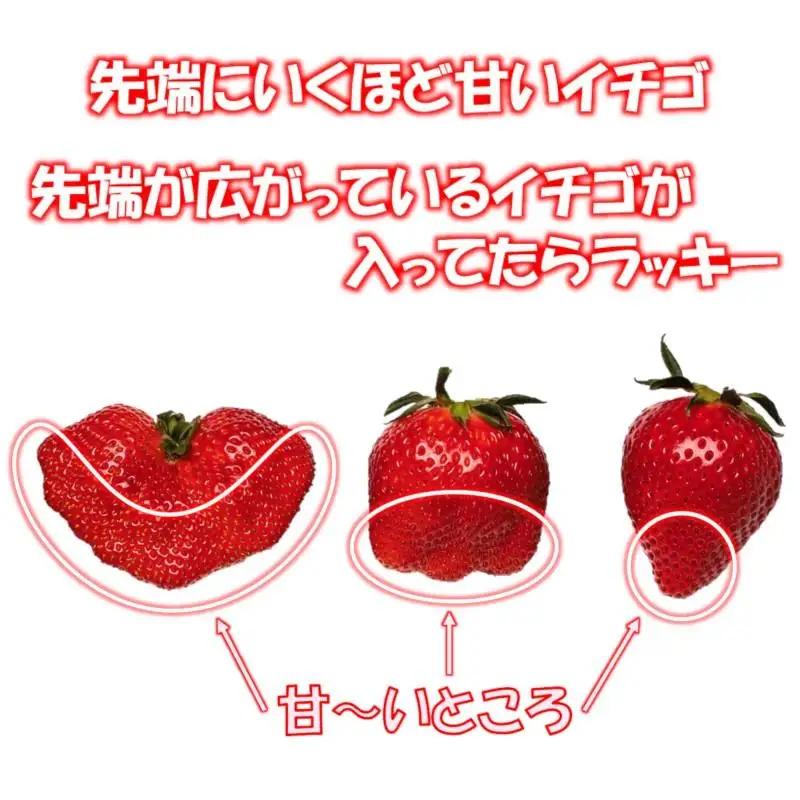 【先行予約】苺大野屋 やよいひめ 厳選いちご 1kg（250g×４パック） 宮崎県西都市＜28-5a＞