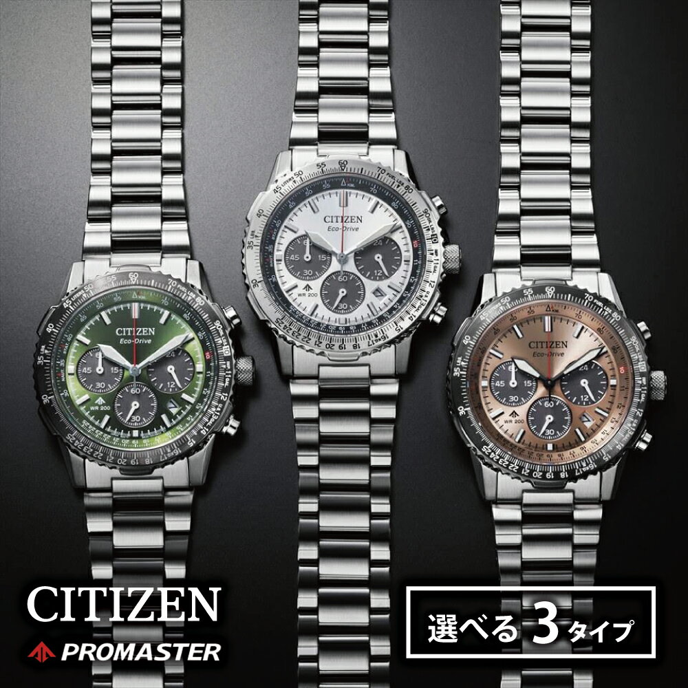 【ふるさと納税】 シチズン腕時計 プロマスター CA4660-61A ／ CA4664-60W ／ CA4664-60X CITIZEN 時計 SKY 岩手県 北上市 高機能パイロットウオッチ