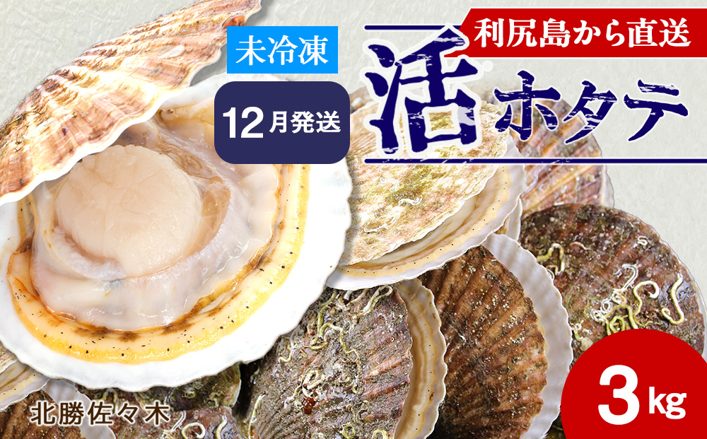 活ホタテ3kg！~2026年12月発送~北海道利尻島から直送！【北勝佐々木】