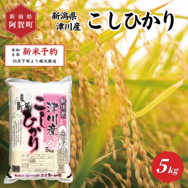 【ふるさと納税】 《 新米 コシヒカリ 新潟県 津川産》 米 5kg 新潟県産 コシヒカリ 令和8年産 新米 5kg × 1袋 | 白米 精米 こしひかり 送料無料 お取り寄せ お米 ※2026年10月下旬頃より順次発送