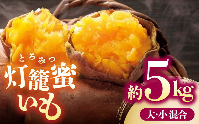 
                  ブランド さつまいも「灯籠蜜いも とろみついも」約5kg【株式会社 アグリファーム未来】  1万円以下 10000円以下 [ZDN001]
                