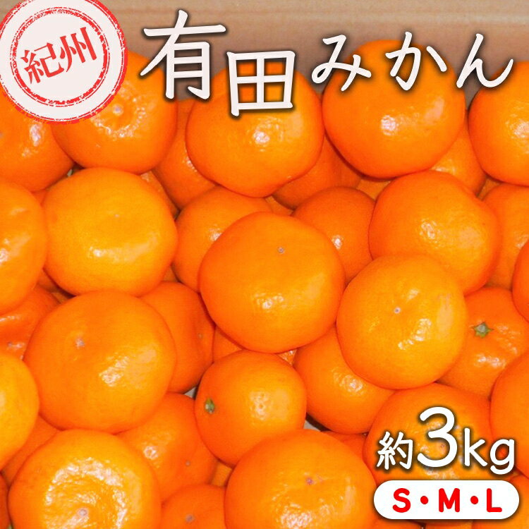 【ふるさと納税】【先行予約】【秀品】有田みかん 約3kg（L・M・Sサイズ おまかせ）和歌山県産 ｜みかん ミカン 和歌山 由良 フルーツ 果物 柑橘 和歌山県産 お取り寄せ 人気