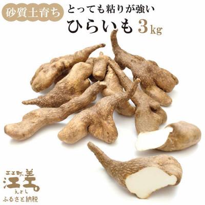 ふるさと納税 江差町 ★10月より順次発送★北海道産 ひらいも  3kg