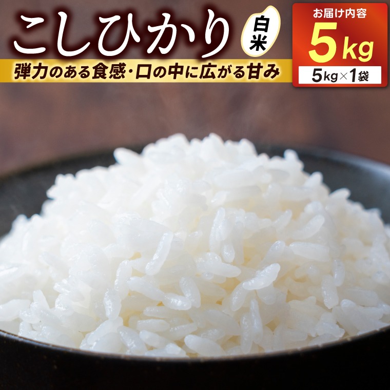 ＼先行予約・9月中旬より順次発送・令和8年産／山﨑観光農園のお米　コシヒカリ　白米5kg｜栃木県 益子町 ふるさと納税 お米 コシヒカリ 白米 精米 5kg（AU014）