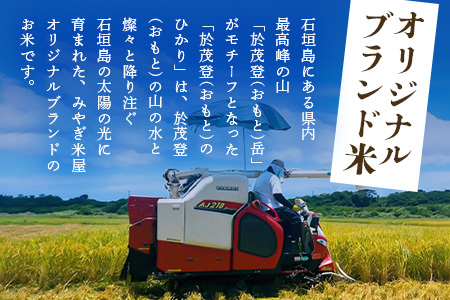 石垣島産 於茂登(おもと)のひかり 10kg みやぎ米屋【 日本一早い新米の産地  お米 産地直送 旬 しきゆたか 沖縄県 石垣市 送料無料 】MK-2