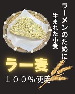 【化粧箱入り】福岡県産ラー麦100％使用の中華麺がうまい！！博多グルメ代表とんこつラーメン(20食)