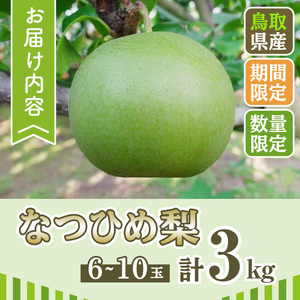 ＜先行予約受付中！8月下旬～10月下旬発送予定＞＜数量限定＞こばやし農園なつひめ梨(計3kg・6～10玉) ふるさと納税 境港市 特産品 ジューシー 完熟 なし ナシ 果物 くだもの フルーツ 旬 【