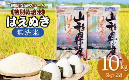 【令和7年産 先行予約】 特別栽培米はえぬき 無洗米 10kg (5kg×2袋) 山形県鶴岡産　鶴岡協同ファーム