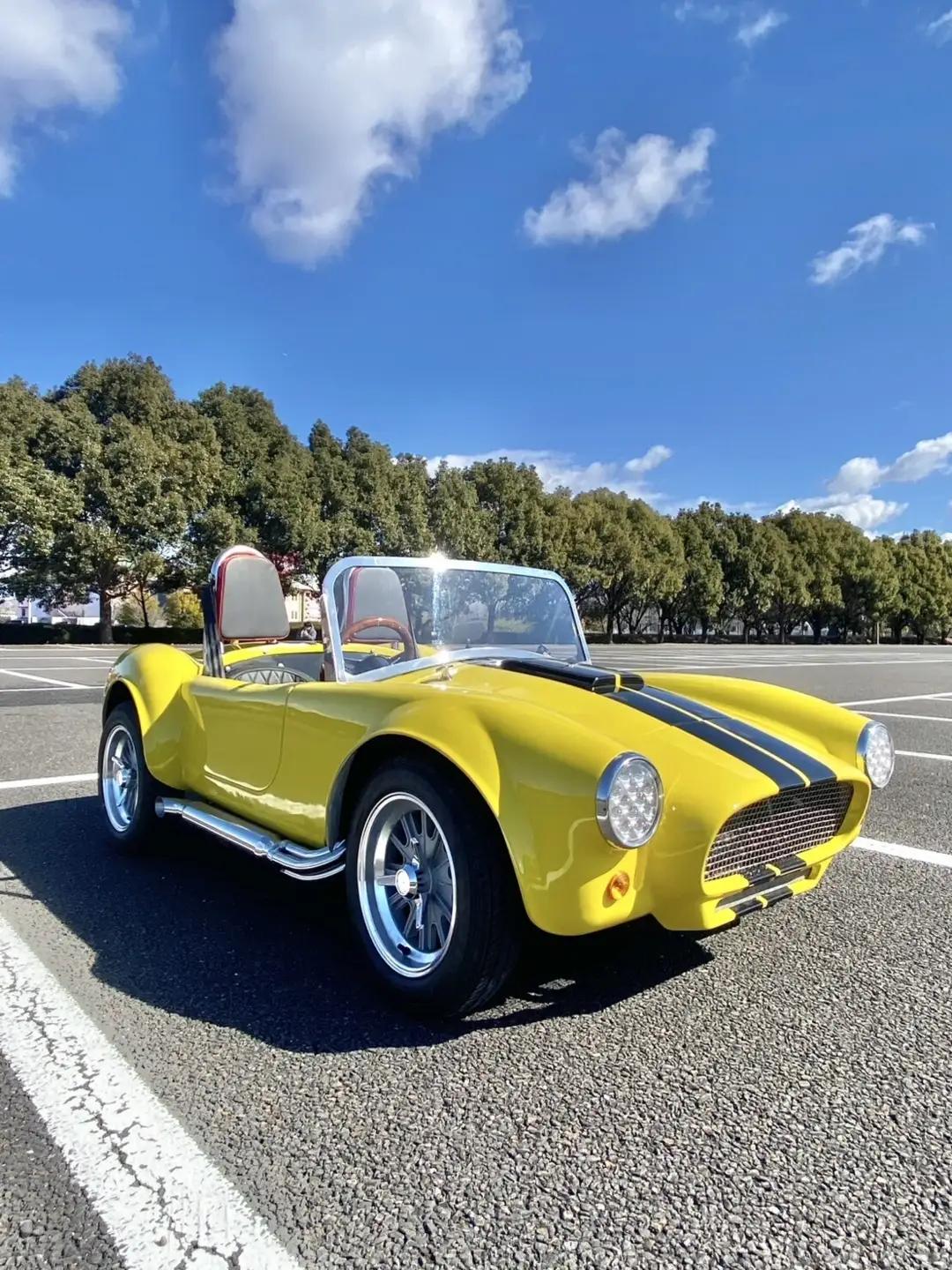 1192 岐阜・各務原　レンタルミニカー（３時間コース）【ミニジープ・ミニコブラ】