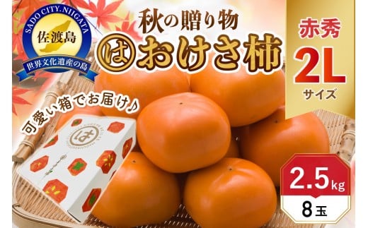 
            【先行予約】高級おけさ柿赤秀2L（8玉）＜まるはおけさがき＞
          
