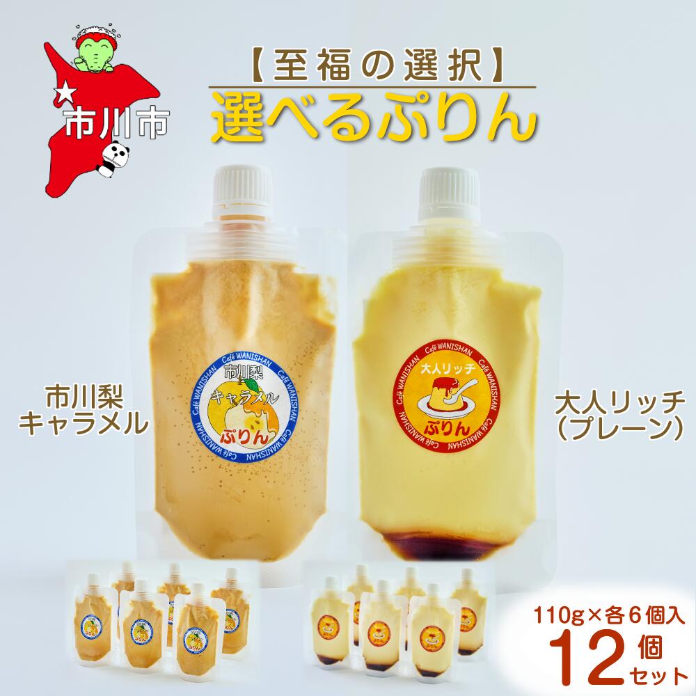 【ふるさと納税】【至福の選択】選べる12個セット（市川梨キャラメル×大人リッチ）ぷりん　【12203-0346】 Cafe WANISHAN プリン パウチタイプ 飲めるぷりん デザート スイーツ ゼラチン不使用 とろとろ 贅沢 できたて ギフト プレゼント 市川市 千葉県