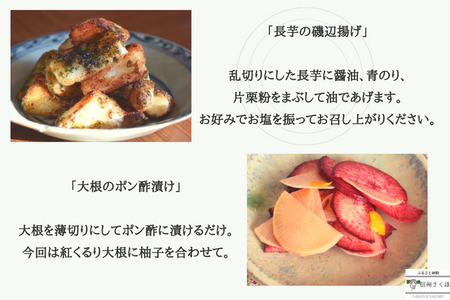 定期便　６カ月　信州北八ヶ岳からお届け～ちいさな畑セット～（Lサイズ　３～４人前）有機野菜〔NK-02-6〕