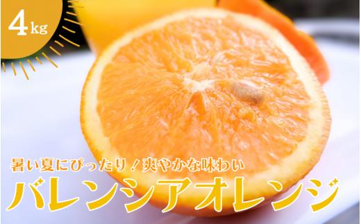 【先行予約】バレンシアオレンジ 4kg 【2024年7月中旬頃より順次発送】 / みかん ミカン 蜜柑 バレンシアオレンジ オレンジ 和歌山 田辺市 紀州 くだもの 柑橘 フルーツ 【aoi009】