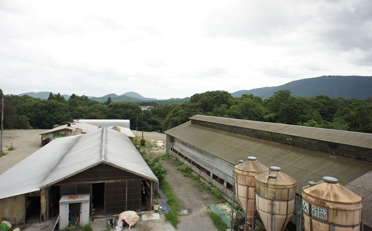 自社ブランド豚「京丹波ぽーく」モモ切り落とし 1.5kg ※北海道・沖縄は配送不可