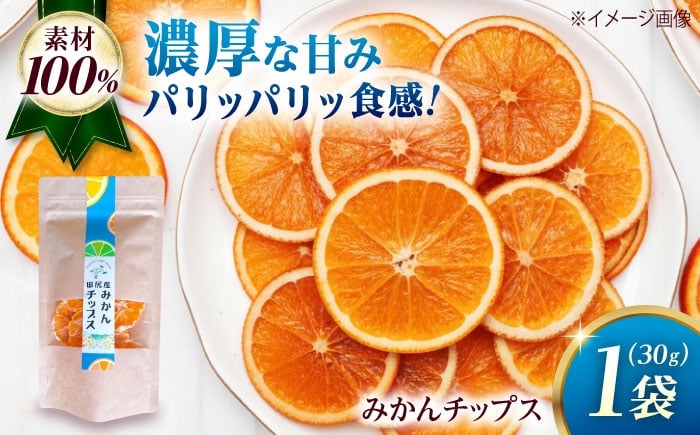 
                  みかん 田尻産 みかんチップス 1袋 みかん 温州みかん 柑橘 完熟 ドライフルーツ ヘルシー おやつ スナック 菓子 広島県福山市/たかはし農園 [BAGS003]
                