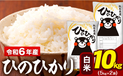 令和6年産 白米 米 ひのひかり 10kg (5kg袋×2)《2月上旬-2月末頃出荷予定》熊本県 大津町 国産 熊本県産 白米 精米 送料無料 ヒノヒカリ こめ お米