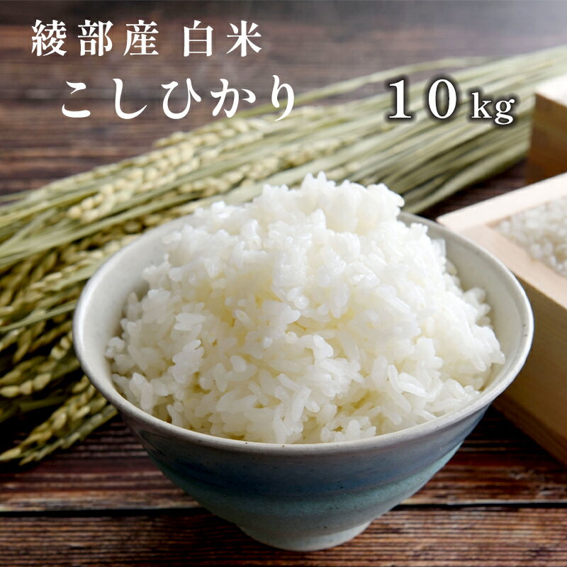 【ふるさと納税】令和7年産 新米 コシヒカリ 10kg 白米 精米 国産 京都府 綾部産 こしひかり お米 米 コメ こめ ごはん